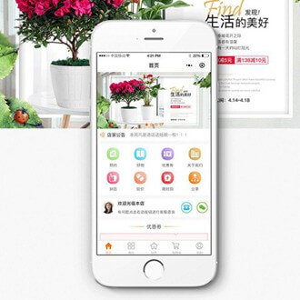 涪陵门店微商城小程序开发