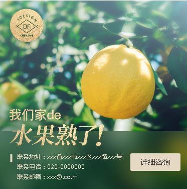 涪陵果园果林小程序开发